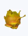 Pitahaya_roja_carne_rosa_1.webp