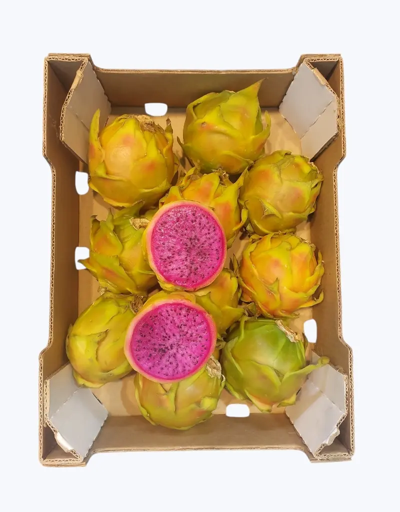 Pitahaya_roja_carne_rosa.webp