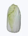 Col_china1.webp