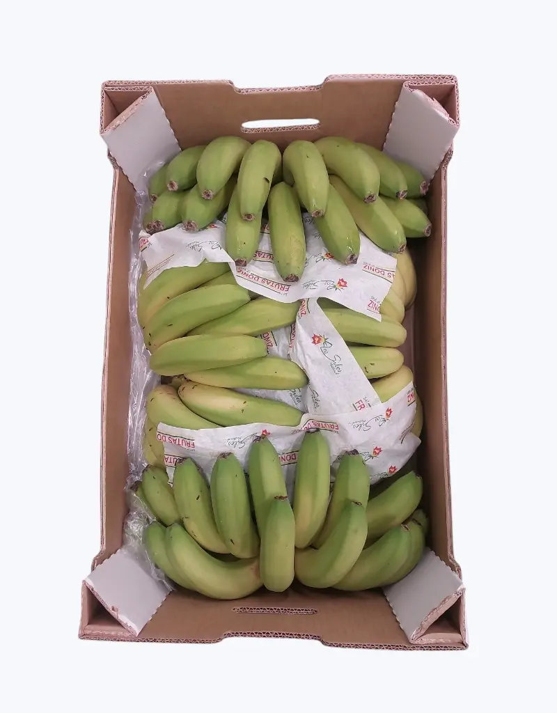 Platanos_de_canarias_Pinton.webp