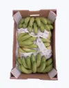 Platanos_de_canarias_Pinton.webp