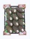 Aguacate_hass_importacion_1.webp
