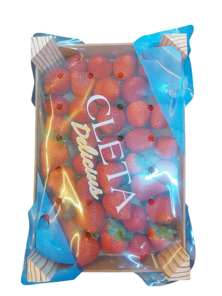 Freson-caja-1-kg-1.webp