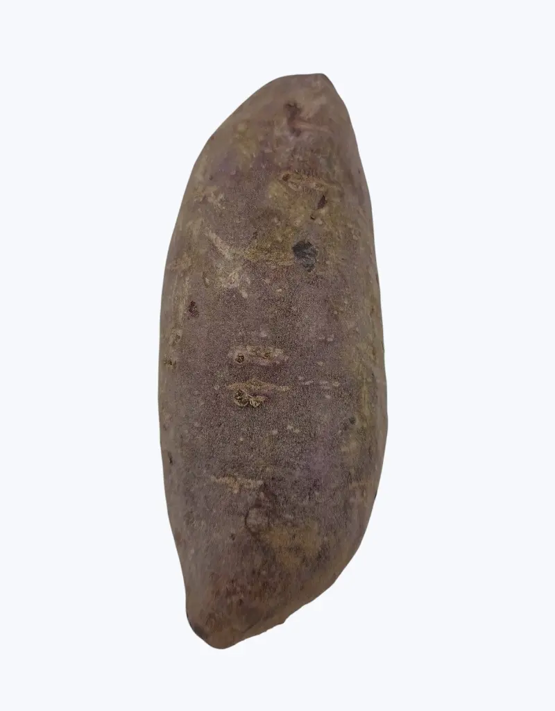 Batata-morada-thefruitsoftheworld-3.webp