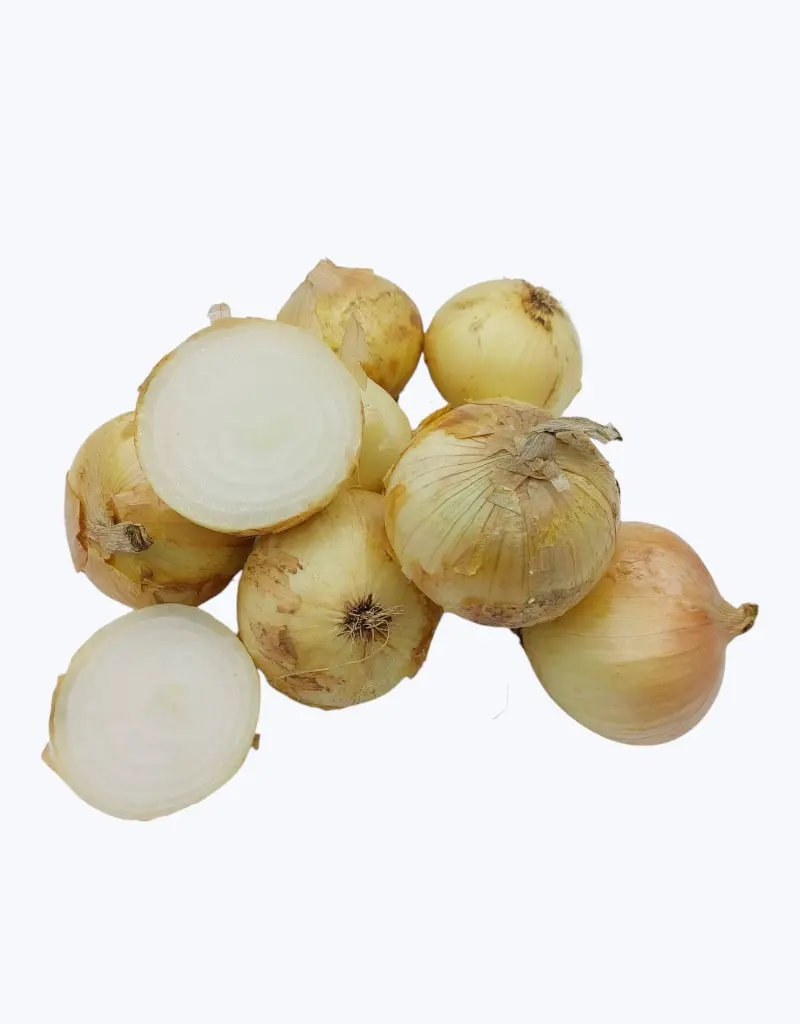 Cebolla-dulce-thefruitsoftheworld-2.webp