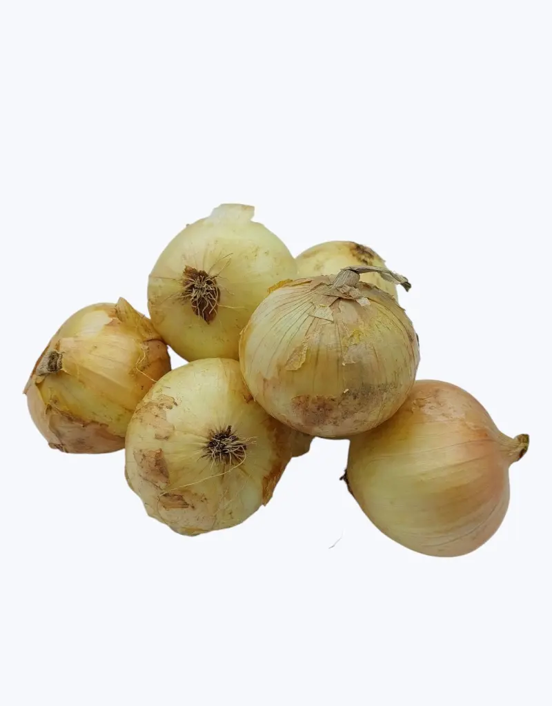 Cebolla-dulce-thefruitsoftheworld-1.webp