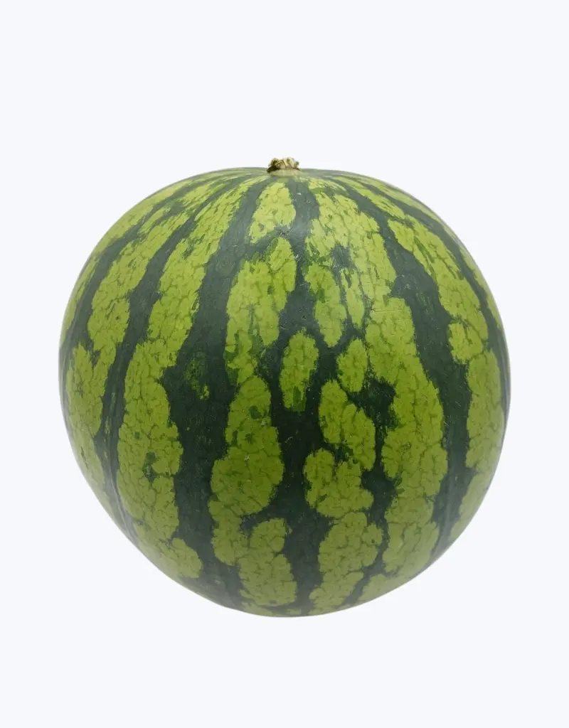 Sandia-rayada-thefruitsoftheworld-1.webp