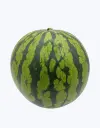 Sandia-rayada-thefruitsoftheworld-1.webp