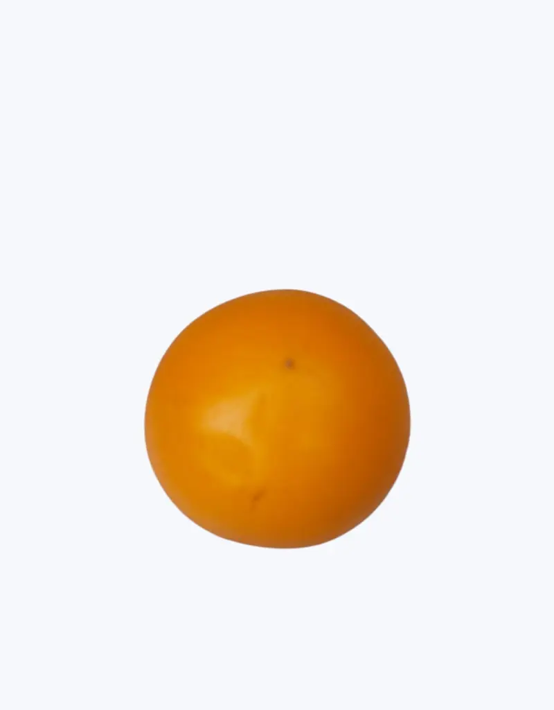 Lulo-o-naranjilla-thefruitsoftheworld-1.webp