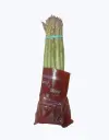Esparrago-nacional-extra-TheFruitsOfTheWorld-1.webp