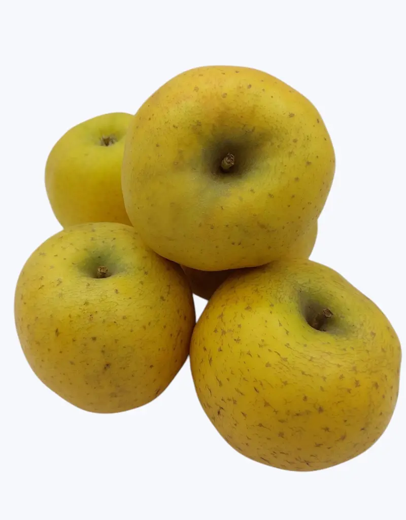 Manzana-reineta-TheFruitsOfTheWorld.webp