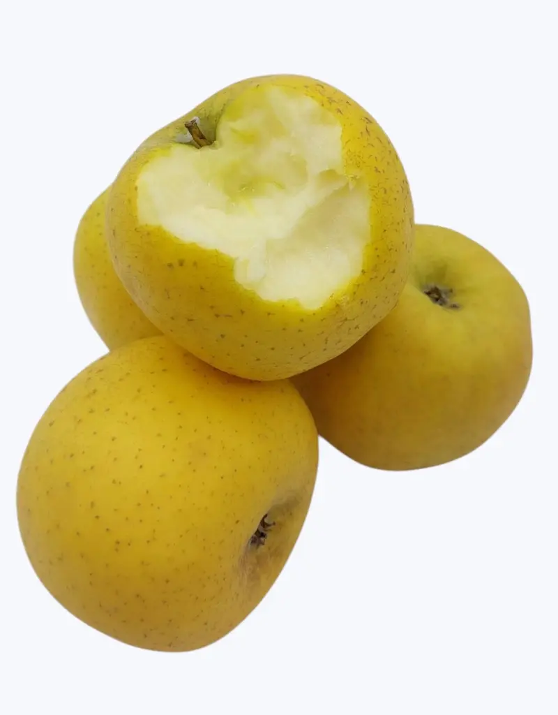 Manzana-reineta-TheFruitsOfTheWorld-1.webp