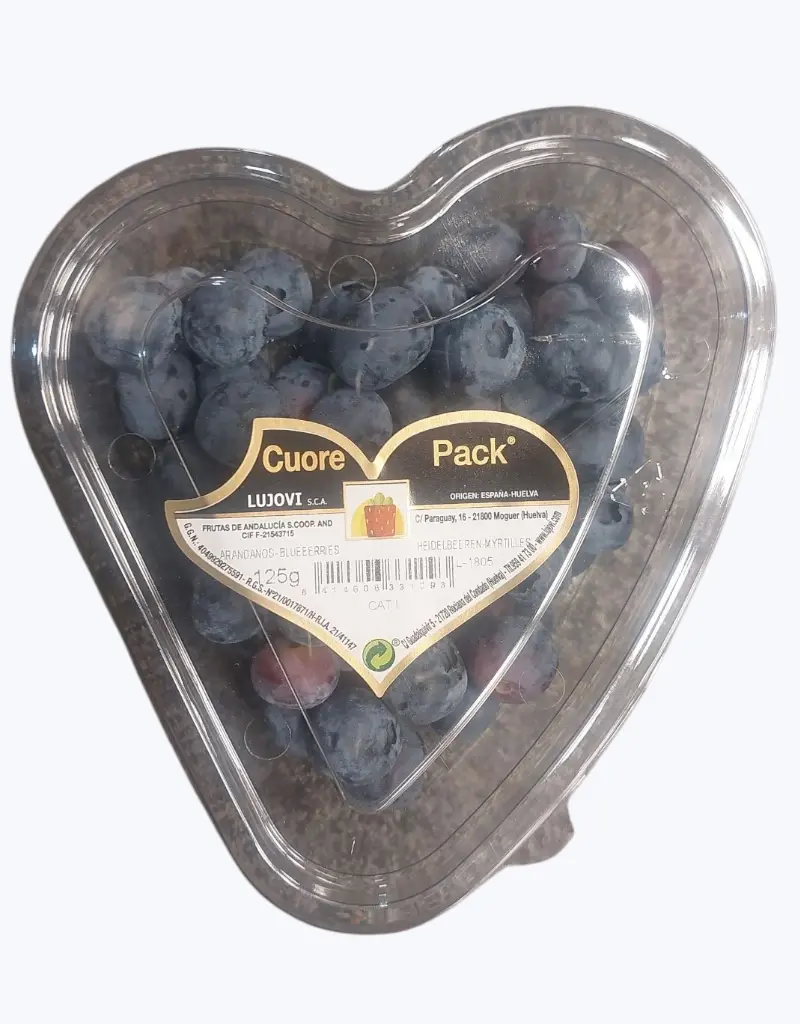 Arandanos-azules-tarrina-TheFruitsOfTheWorld-1.webp