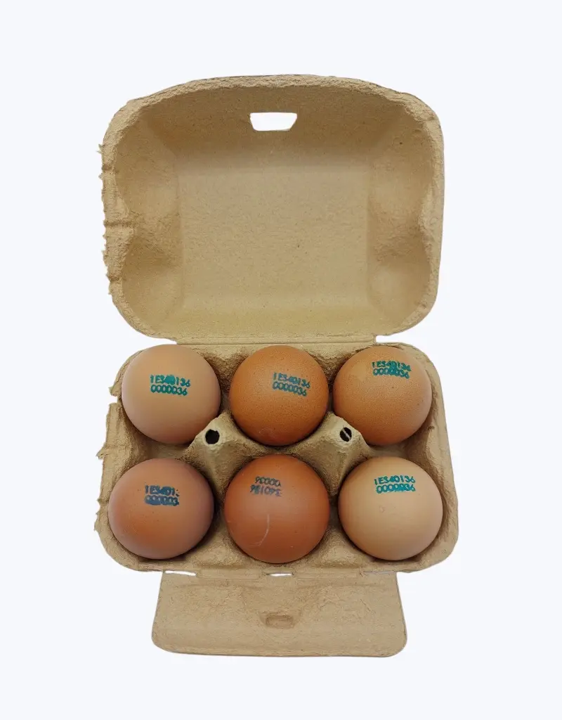 Huevos-camperos-6uds-TheFruitsOfTheWorld-1.webp