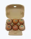 Huevos-camperos-6uds-TheFruitsOfTheWorld-1.webp