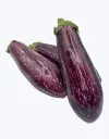 Berenjena-morada-TheFruitsOfTheWorld-1.webp