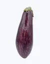 Berenjena-morada-TheFruitsOfTheWorld-3.webp