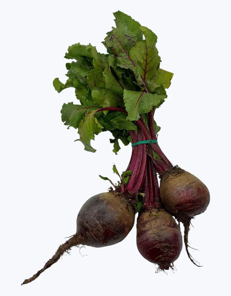 Remolacha-manojo-TheFruitsOfTheWorld.webp