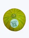 Calabacin-zapallo-argentino-TheFruitsOfTheWorld-2.webp