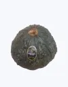 Calabaza-japonesa-Kabocha-TheFruitsOfTheWorld-1.webp
