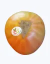 Tomate-navarra-TheFruitsOfTheWorld-1.webp