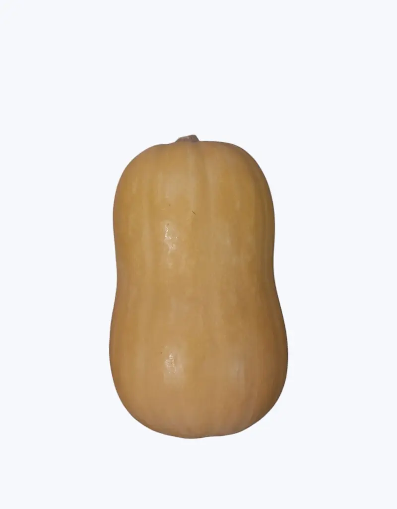 Calabaza_cacahuete_1.webp