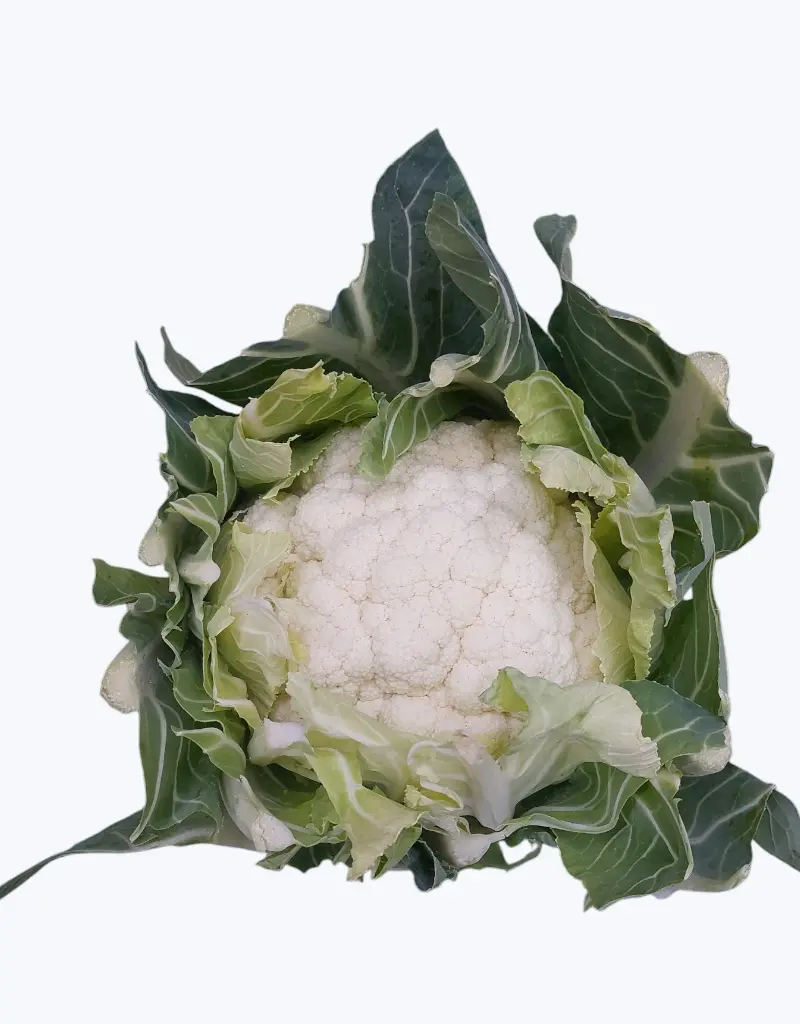 Coliflor_blanca_1.webp