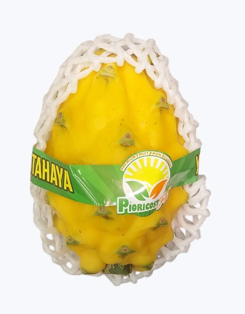 Pitahaya_amarilla_1.webp