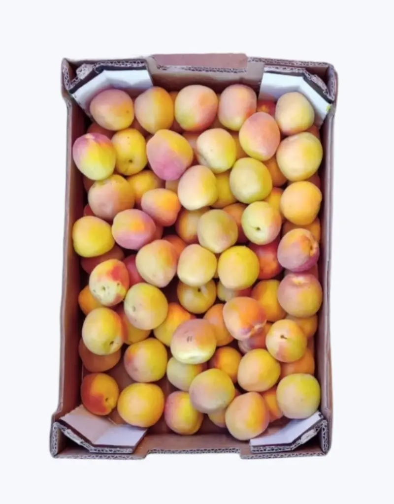 Albaricoque