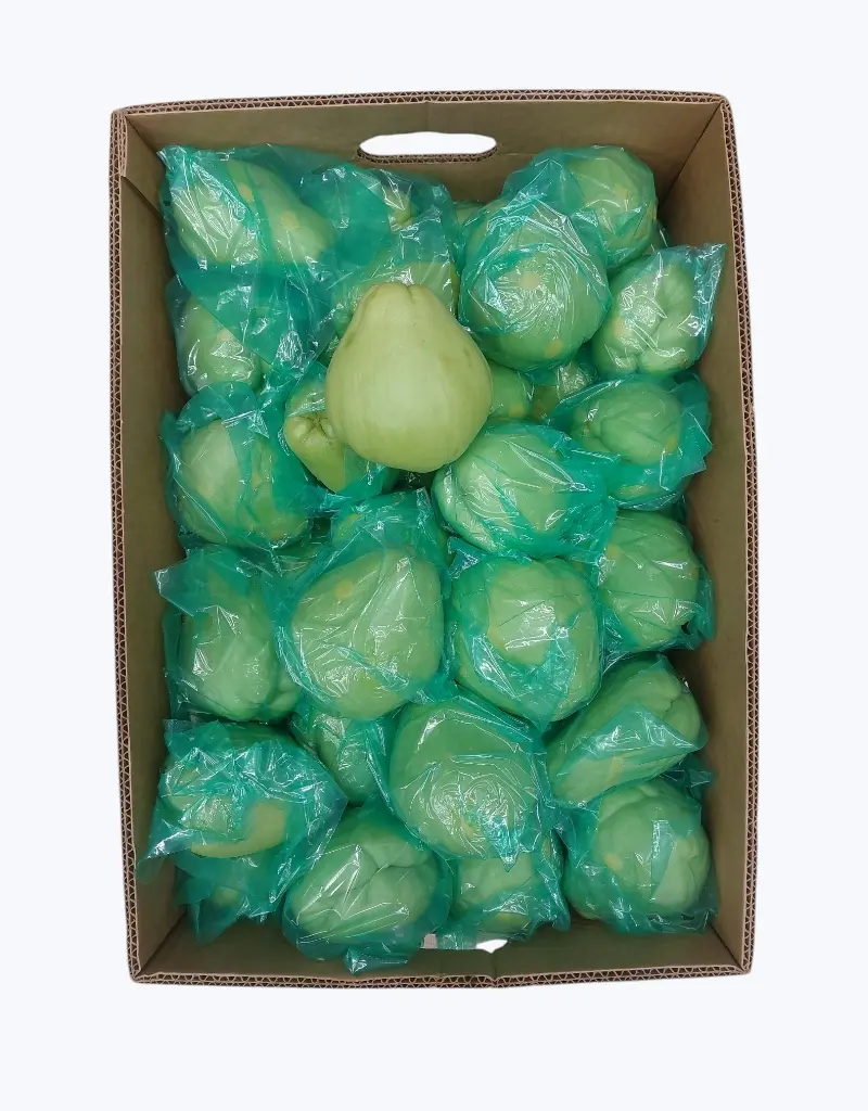 Chayote