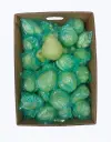 Chayote