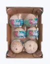 Coco de agua bio