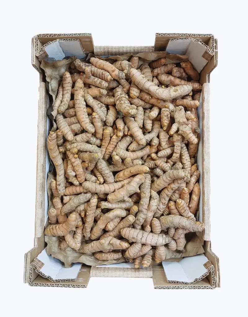 Curcuma fresca 100 gr