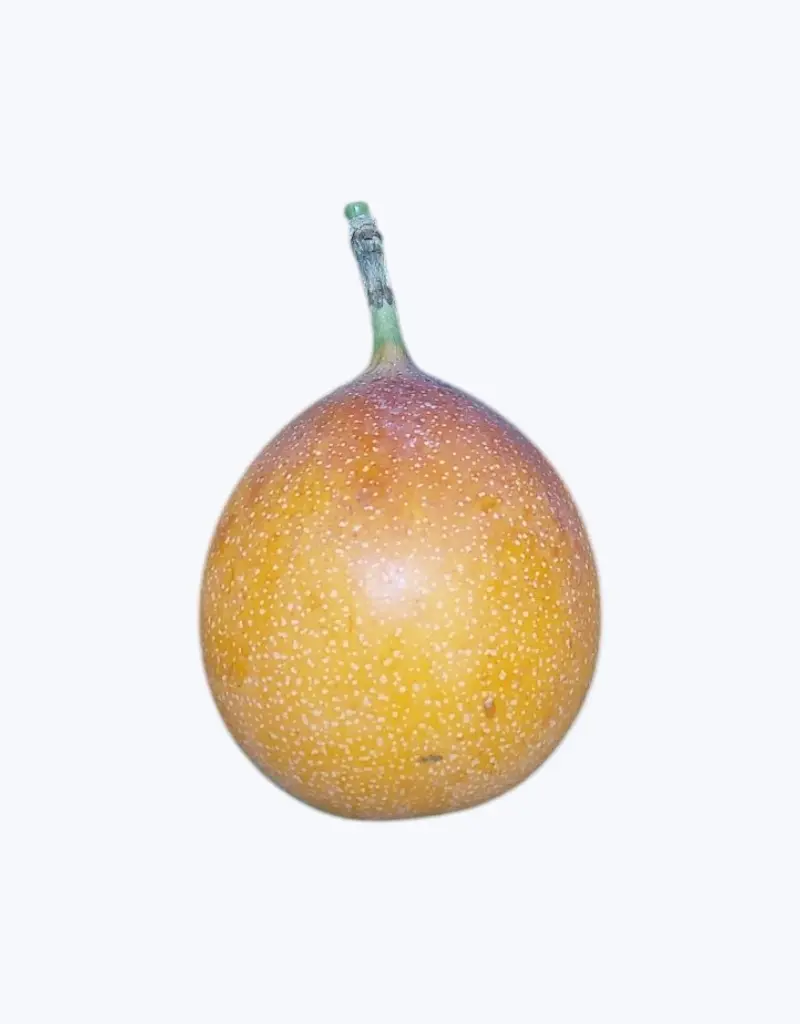 Granadilla (unidad)