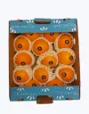 Lulo o naranjilla