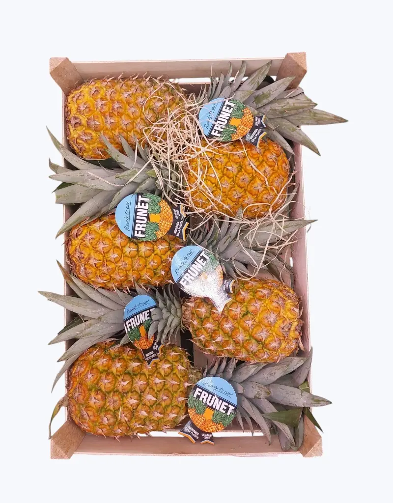 Piña de barco