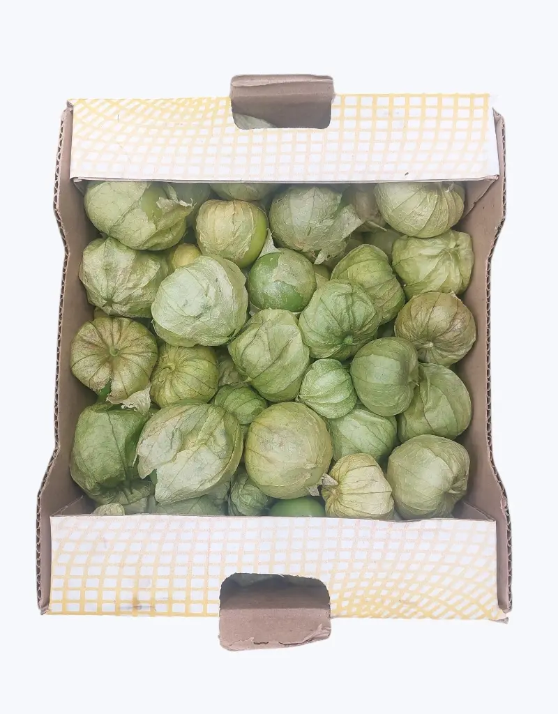 Tomatillo verde mexicano