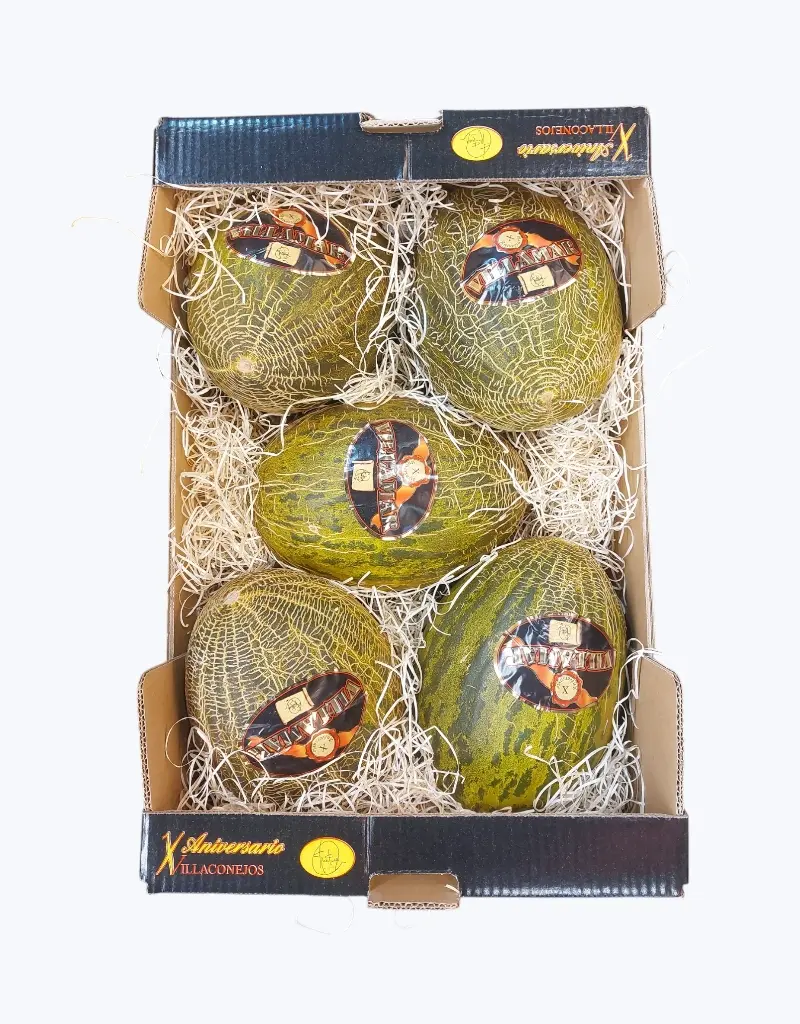Melon piel de sapo