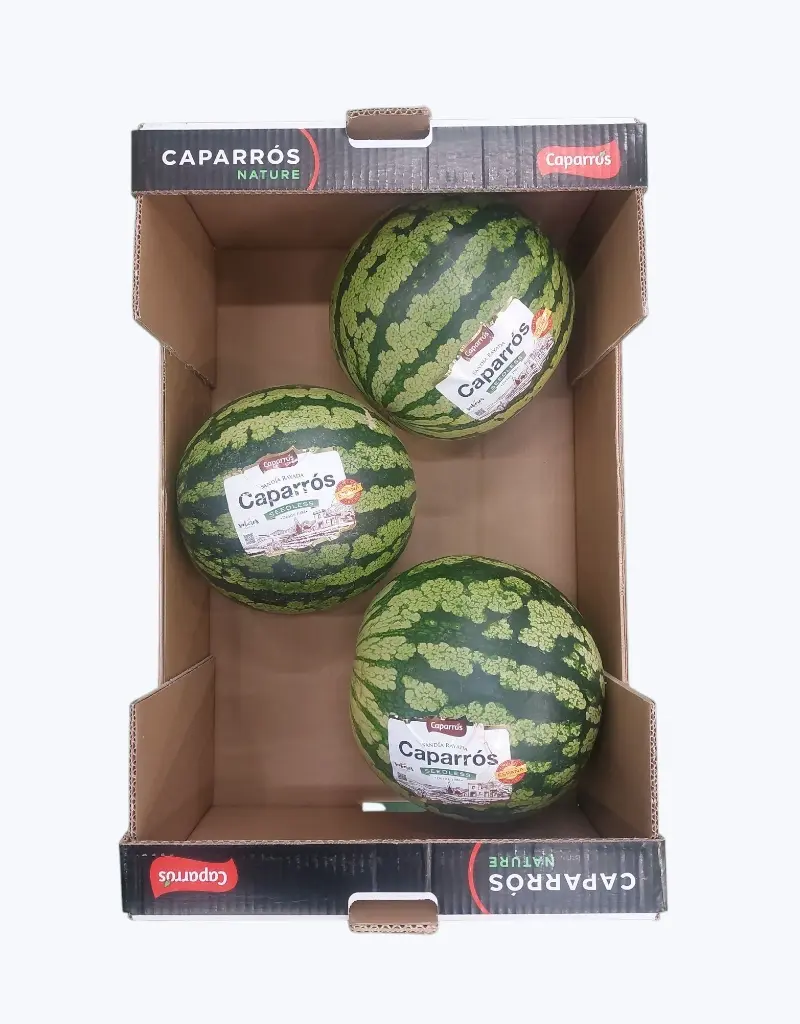Sandia rayada
