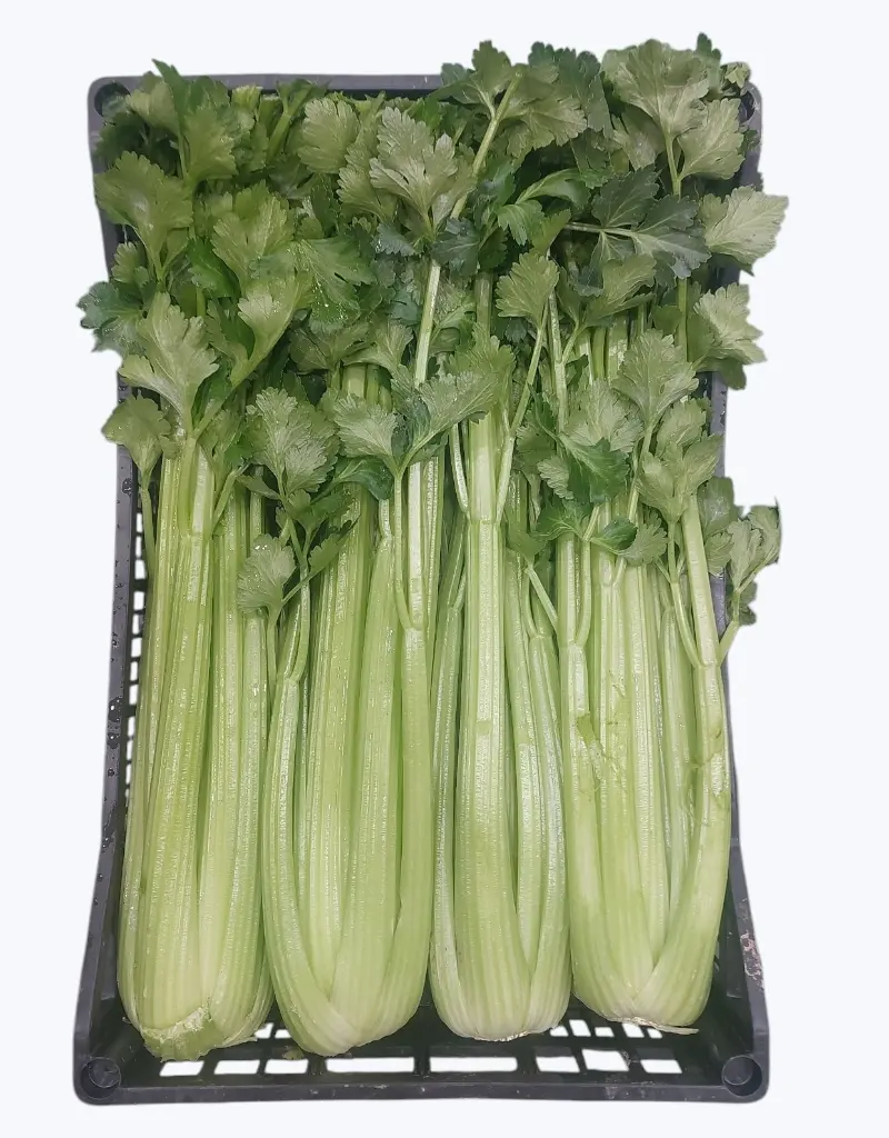 Apio verde