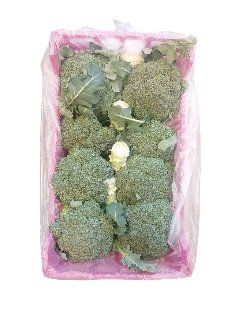 Brocoli