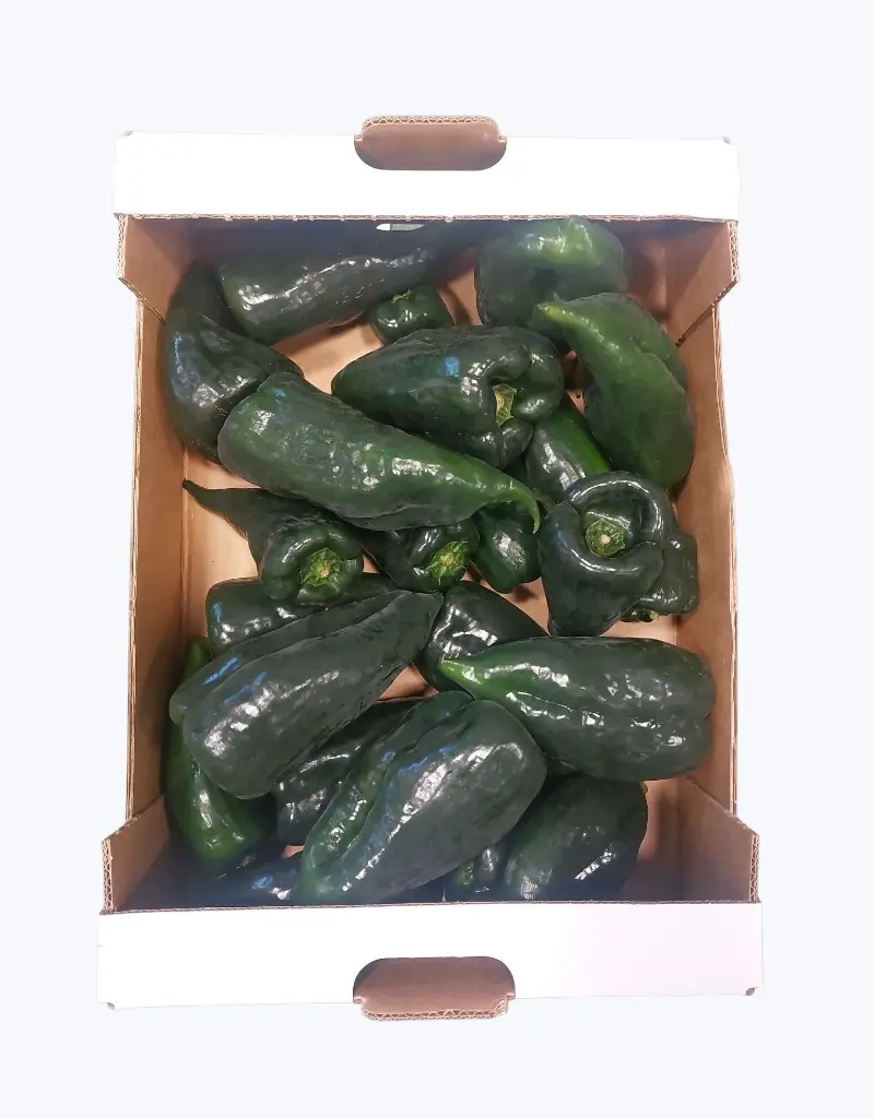 Chile poblano