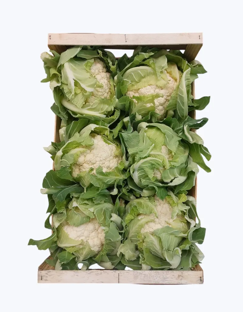 Coliflor blanca