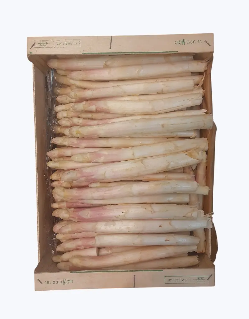 Esparrago blanco navarra