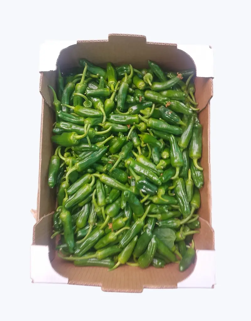 Pimiento de padron