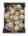 Cebolla dulce
