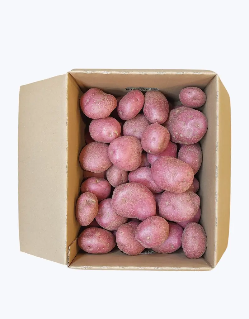 Patata roja