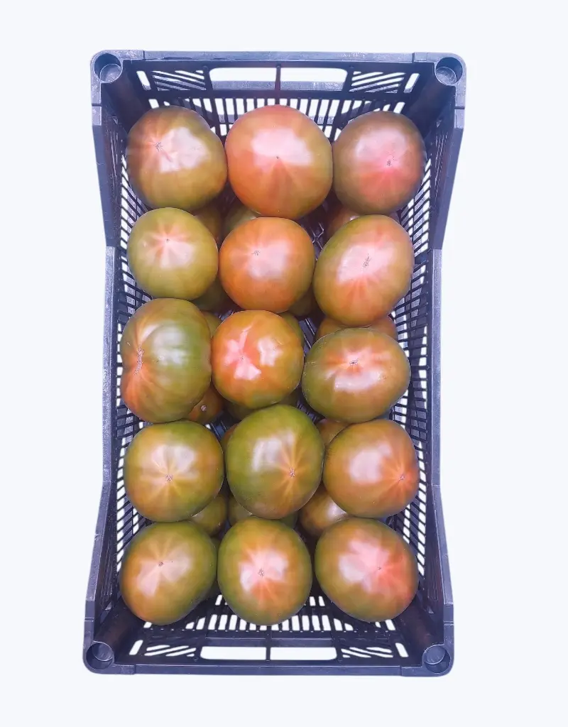 Tomate de mazarron