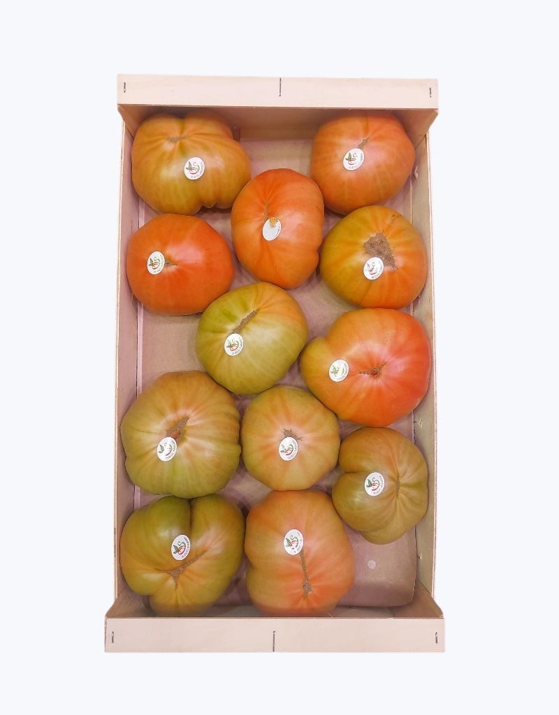 Tomate de navarra