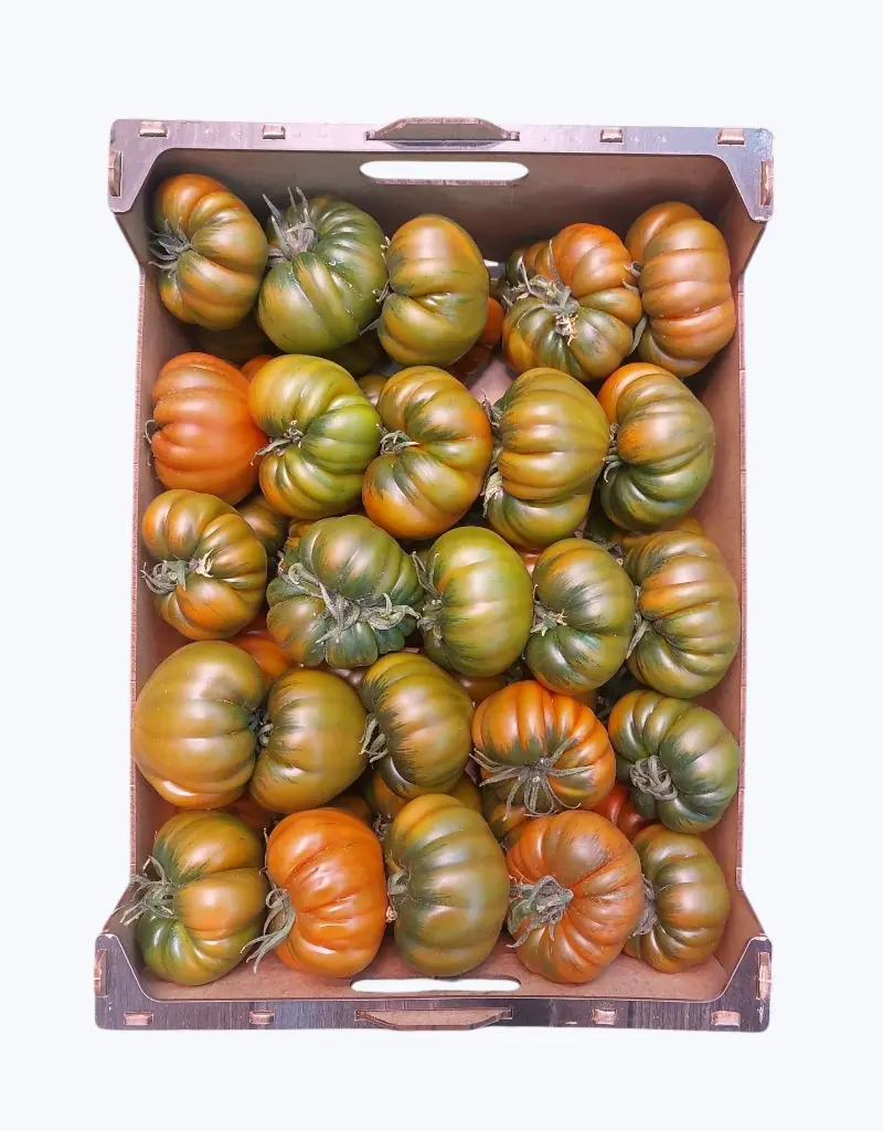 Tomate joselito xxl